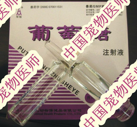 高渗葡萄糖针剂静脉注射 液口服营养药用于低