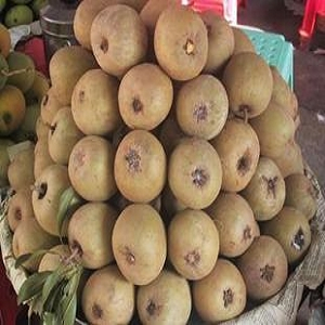 新鲜蔬菜\/水果\/蔬菜制品,广东河源特产\/万绿宝黄