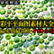 上下架计划:彩色平面图PSD分层园林景观后期植物素材 ps后期彩平效果图素材