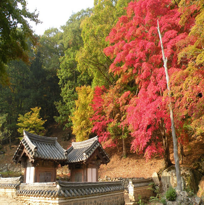 西安起止/韩国旅游/济州岛旅游/济州包机/恋恋济州岛5日游 西安起止/韩国旅游/济州岛旅游/济州包机/恋恋济州岛5日游