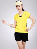 专柜 正品 阿迪达斯 女 2010夏日新款 短袖t桖 <span class=H>运动服</span> 套装