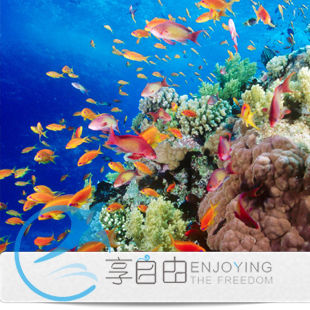 北京出发 颐和园、电视塔、海底世界、电影城一日旅游/北京周边游 北京出发 颐和园、电视塔、海底世界、电影城一日旅游/北京周边游