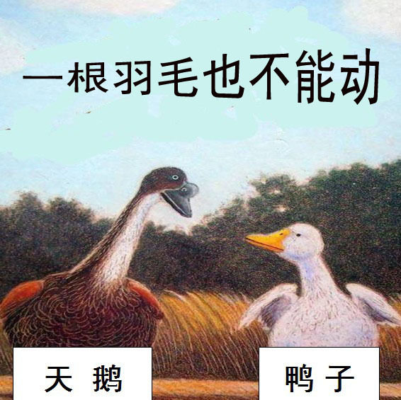 幼儿园PPT课件专卖 大班<em>绘本</em> (赠<em>教案</em>) 《一根