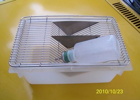 九成新处理,小白鼠 专业繁殖鼠笼 小白鼠繁殖笼