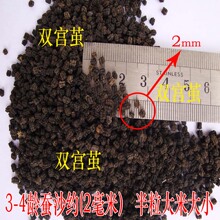 3年累计销售3万斤 3-4龄蚕沙 散装蚕砂 蚕沙枕头3.5元一斤