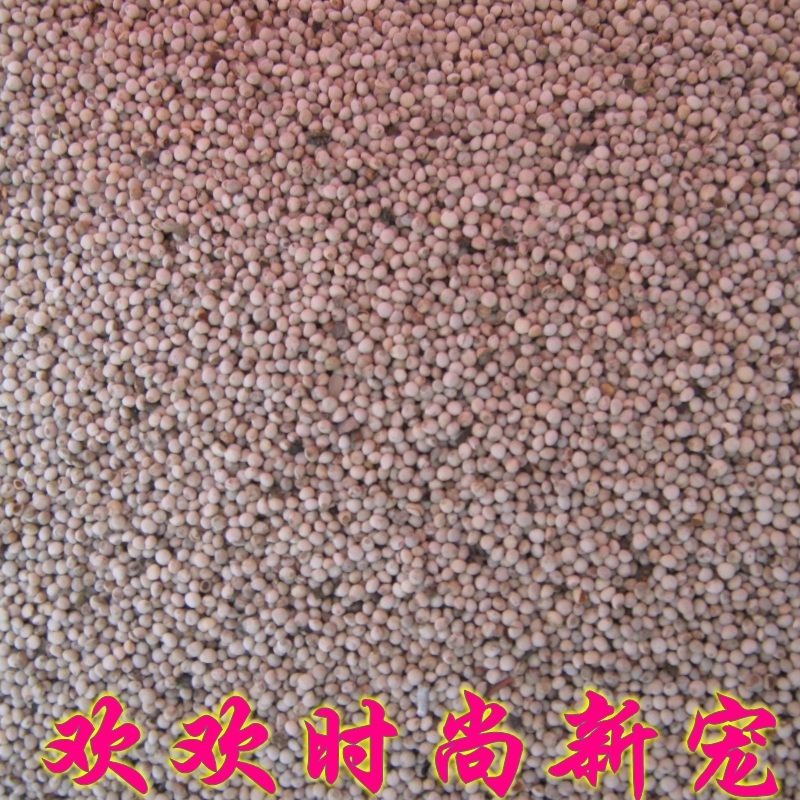 苏子 虎皮鹦鹉 文鸟珍珠鸟 鸟食鸟粮饲料250g|msdalam kategori haiwan peliharaan/makanan haiwan dan bekalan, Burung dan bekalan, makanan burung - dari Buy2taobao.com untuk memberikan perkhidmatan ejen Taobao profesional membeli