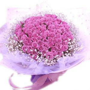南京花店|南京鲜花速递|99朵紫玫瑰花|生日告白