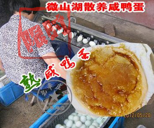  微山湖咸鸭蛋农家特产散养麻鸭蛋红黄熟盐鸭蛋 QS有礼盒40个包邮