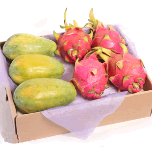  全而廉 海南木瓜 越南火龙果 进口水果  双拼 新鲜水果 约4.5KG
