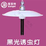 taobao english 5853275925