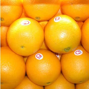  【果乐】美国新奇士脐橙 进口橙子 新鲜水果 橙子满百包邮