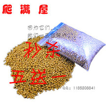 金线巴西草龟吃的乌龟粮龟食龟饲料小颗粒100克五送一