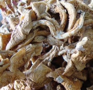  野生元蘑 元蘑 东北野生蘑菇  肉质细腻鲜美  益气不饥 强筋健骨