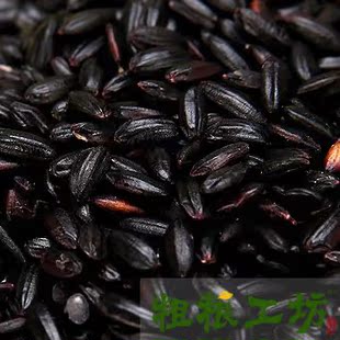  『粗粮工坊』黑米 正宗优质东北黑香米 无染色 五谷杂粮 12年新货