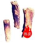 促销 中药独门早泄汤 千金秘精丸 补肾 早泄 延时 配方 中医 阳痿