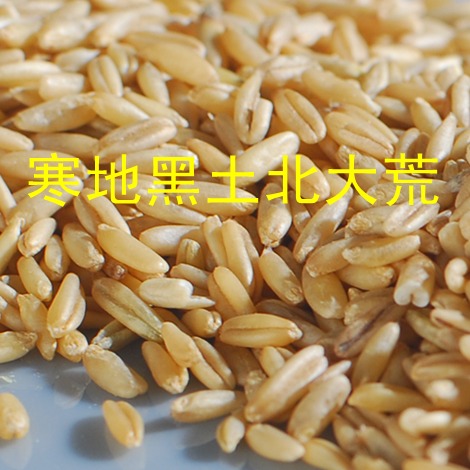 東北特産/新燕麥米/野麥/ 雀麥/麥子米 新米在類目 糧油米麪/南北乾貨/調味品, 米/麪粉/雜糧, 米類, 大米中 - 來自Buy2taobao.com提供專業的淘寶代購服務