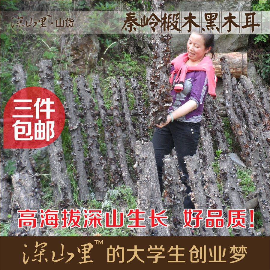 椴木黑木耳秦岭椴木木耳野生秋木耳小无根汉中特产PK东北木耳200g|ruв категории зерно риса/север и Юг сухих грузов/приправы, север и Юг сухих грузов/мясо сухих грузов, сухогрузный/родной, чёрный гриб - от Buy2taobao.com для оказания профессиональной услуги покупки агента Taobao