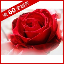 60���� �ɱ�����ԭ������Ĥ��(õ�����ع�Ч��)ˮ����Ĥ5Ƭ(Ժװ)