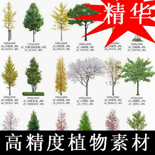 SC-07 high-precision Garden plants source material selected) Landscape Design Scenery design Botany source materialin the Business affairs/Design Services, Design Services, Design Material/Source Files category - from Buy2taobao.com to provide professional Taobao agent buy service