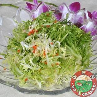  有机苦叶菜/苦苣500克,新鲜蔬菜色拉必备 今日秒杀菜市场生鲜超市