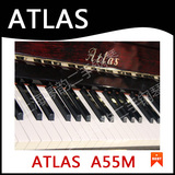 taobao english 12990548222