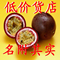 上下架计划:鲜百香果批发 西番莲 紫香一号 百香果 美白养颜 一级果