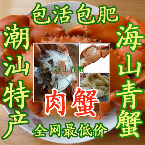  肉蟹 海山青蟹 潮汕海鲜鲜活螃蟹 海蟹水产公蟹肉蟹 特产包肥包活