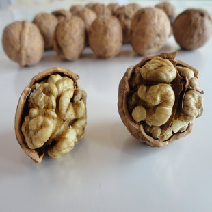  哀牢山薄皮核桃 彝家特产 核桃 农家自产自销 特价核桃 无漂白