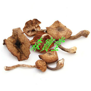  东北特产土特产/野生蘑菇/干货/特级榛蘑菇/臻蘑新货