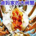 店主父母养殖火福牌阳澄湖大闸蟹母螃蟹2.0-2.3两1只（防伪戒指）