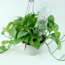 环保节水 浇水器 渗水器 家庭用可乐瓶自动浇花器 （4枚入） 60g