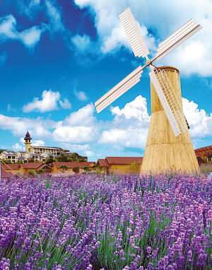 旅游/机票/酒店景点门票★预订<em>香港</em>门票预订-香