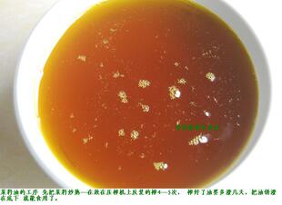  贵州安顺农家自榨菜籽油 纯正菜籽油 正宗压榨新鲜菜籽油食用油