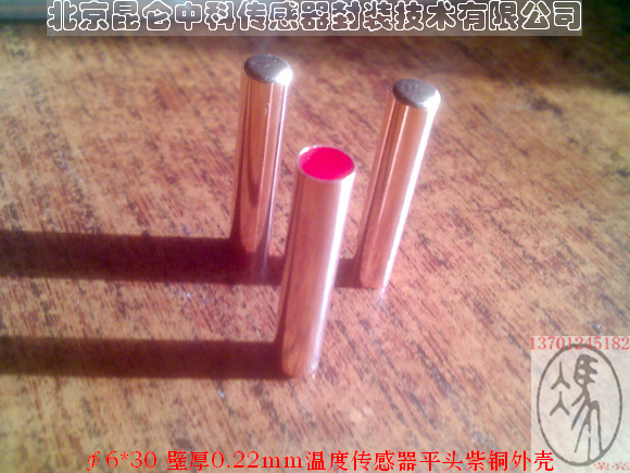 NTC 溫度傳感器 探頭 平頭外殼 紫銅殼 銅殼 6*30 壹包壹千支在類目 五金/工具, 儀器儀表, 測溫儀中 - 來自Buy2taobao.com提供專業的淘寶代購服務
