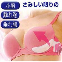 AA121  �ؼ� �����؉|  �������� ����UP�؉| ����: 2.99Ԫ