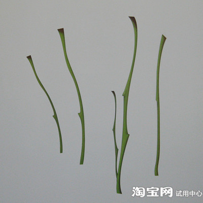 我爱我家—温馨浪漫的玫瑰庄园墙贴