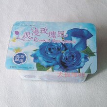 DIY迷你种植 浪漫玫瑰园 情侣赠品绿色盆景盆栽 蓝玫瑰