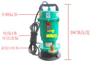 上海丰浪750w抽水泵抽水机，深井潜水泵正宗铜线品质保证