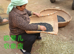 山东农家自产黑豆青仁乌豆绿心绿芯，打豆浆豆子五谷杂粮粗粮500