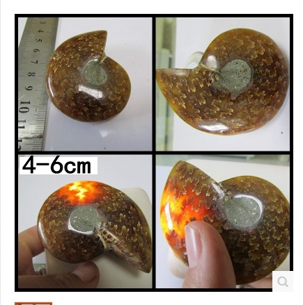 天然古生物化石标本马达加斯加化石海螺化石叶菊石化石标本教学标在类目 饰品/流行首饰/时尚饰品新, 项坠/吊坠中 - 来自Buy2taobao.com提供专业的淘宝代购服务