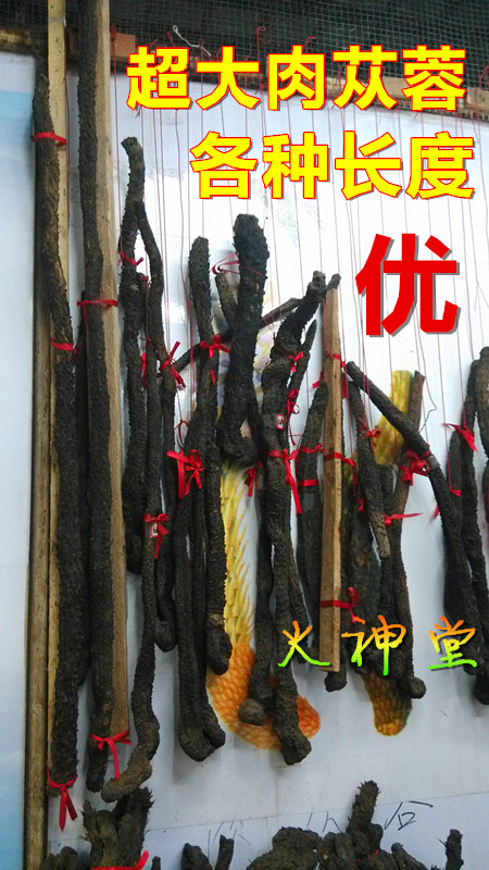 Vulcan Church-Chinese herbal medicines wild high quality Cistanche deserticola Height Inner Mongolia Desert ginseng 250 gramin the Traditional nourishing food , Other traditional tonic , Other traditional tonic category - from Buy2taobao.com to provide professional Taobao agent buy service