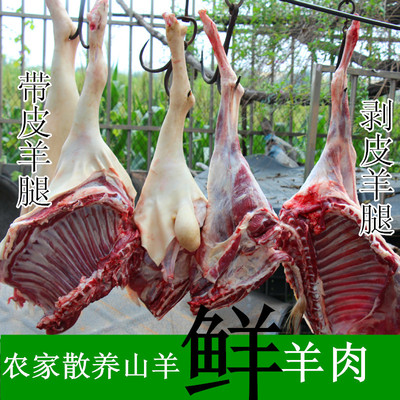 标题优化:新鲜带骨山生羊肉 白黑山羊肉汤 羊腿羊排 带皮羊肉 包邮 羊肉串