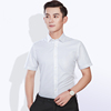 男士衬衫短袖夏季商务职业休闲韩版修身青年纯色半袖，寸正装白衬衣(白衬衣)