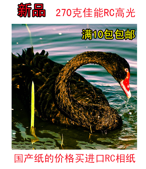 270克佳能6寸RC 高光相紙A4 照片紙 5寸噴墨相紙 鑽石級相紙 相紙在類目 辦公設備/耗材/相關服務, 辦公用紙, 相片紙中 - 來自Buy2taobao.com提供專業的淘寶代購服務