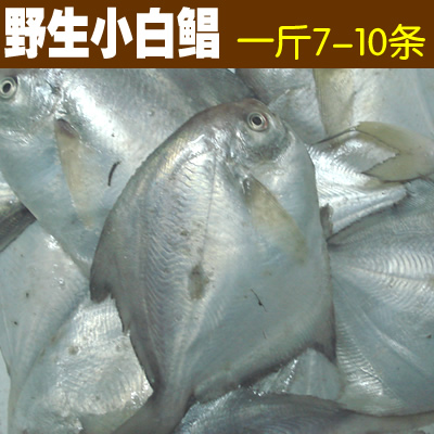 Qidong LV four seafood East China Sea wild Fresh pomfret Pomfret A Jin 7-10 Article barbecue specialin the Aquatic meat/Fresh fruits and vegetables/Cooked , Seafood/Aquatic/Product , Other category - from Buy2taobao.com to provide professional Taobao agent buy service