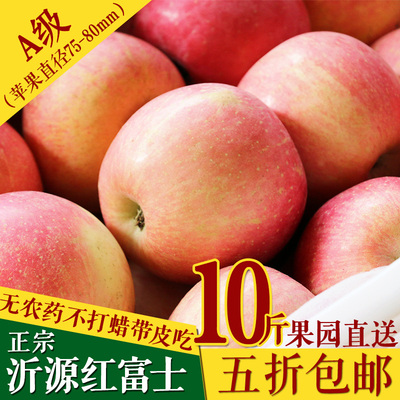 标题优化:山东红富士苹果水果包邮10斤 圣诞平安果 绿色新鲜有机苹果80批发