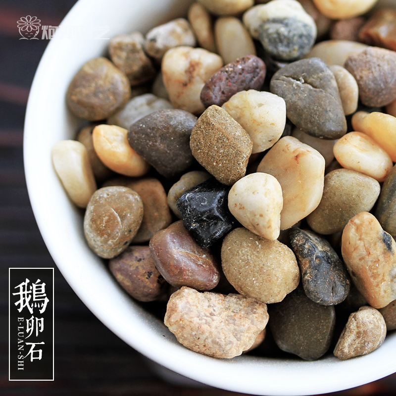 Succulent plants Hydroponic pebbles Pebble Succulent decorate Stone Goldfish bowl Ornaments gardeningin the Flower delivery/Flowers simulation/Plants gardening , Gardening supplies , Other Garden Supplies category - from Buy2taobao.com to provide professional Taobao agent buy service