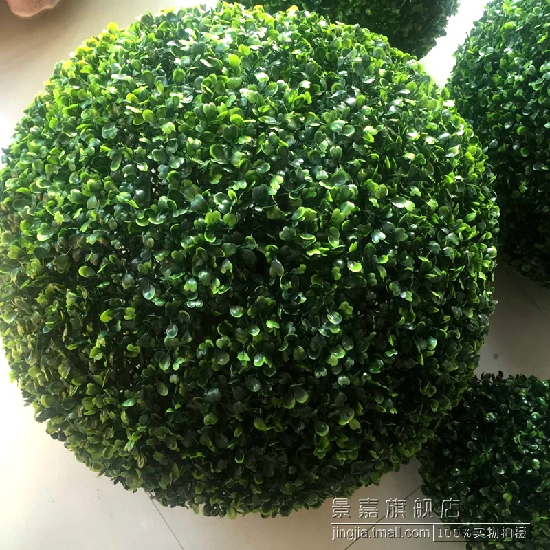 仿真草球 绿色草球 塑料挂球 装饰吊球 加密立体草瓣秋色米兰草球在类目 鲜花速递/花卉仿真/绿植园艺, 仿真花/绿植/蔬果成品(新), 仿真绿植中 - 来自Buy2taobao.com提供专业的淘宝代购服务