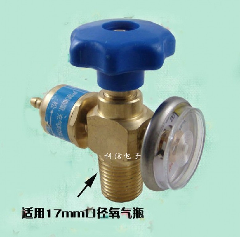 手提焊炬配件2L便携式焊具氧气瓶减压阀带表阀门制冷空调维修配件在类目 五金/工具, 手动工具, 焊接喷涂, 焊炬/枪中 - 来自Buy2taobao.com提供专业的淘宝代购服务