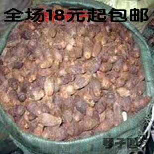 新采槟榔种子 湖南槟榔种子 药材种子 槟榔树籽 可食用 驱虫 抗菌